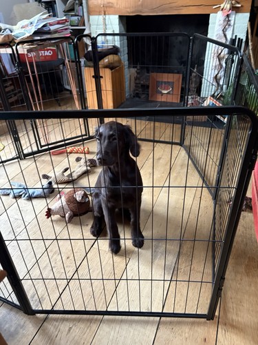 Homidec dog pen panel puppy - homidec, 8