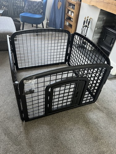 Black indoor dog - black, pet