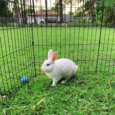 Dog Playpen Foldable Metal Pet