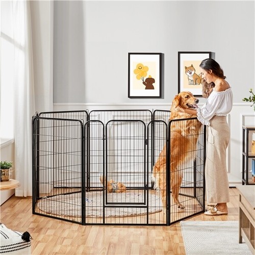 Panel pet puppy - panel,