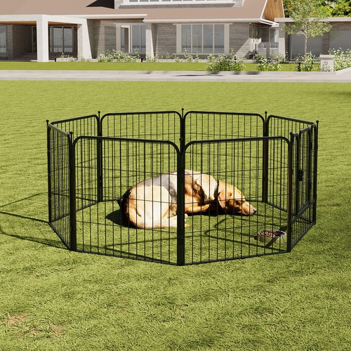 Sided fences puppy dog - 8, play