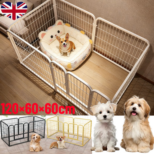 Panel pet puppy - 6,