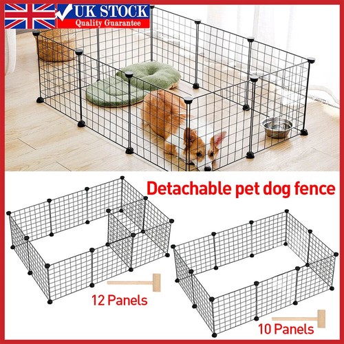 Panels pet dog play - 12/10,